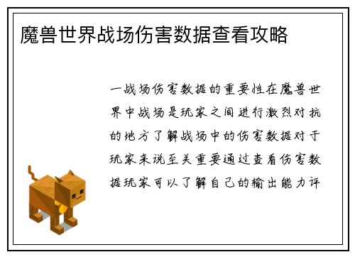 魔兽世界战场伤害数据查看攻略